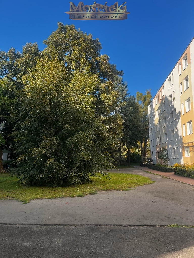 Wynajmę przytulne 2 pokojowe na Dickenas 15 - zdjęcie 13