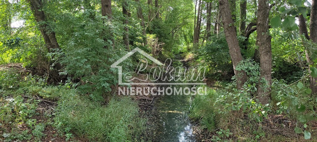 Działka budowlana 1371 m², Szczecin - zdjęcie 2