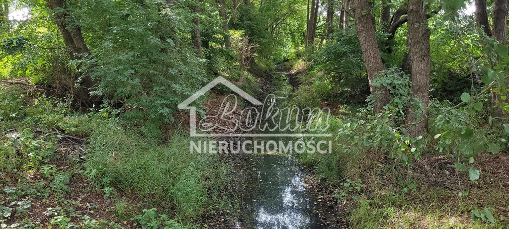 Działka budowlana 1371 m², Szczecin - zdjęcie 9