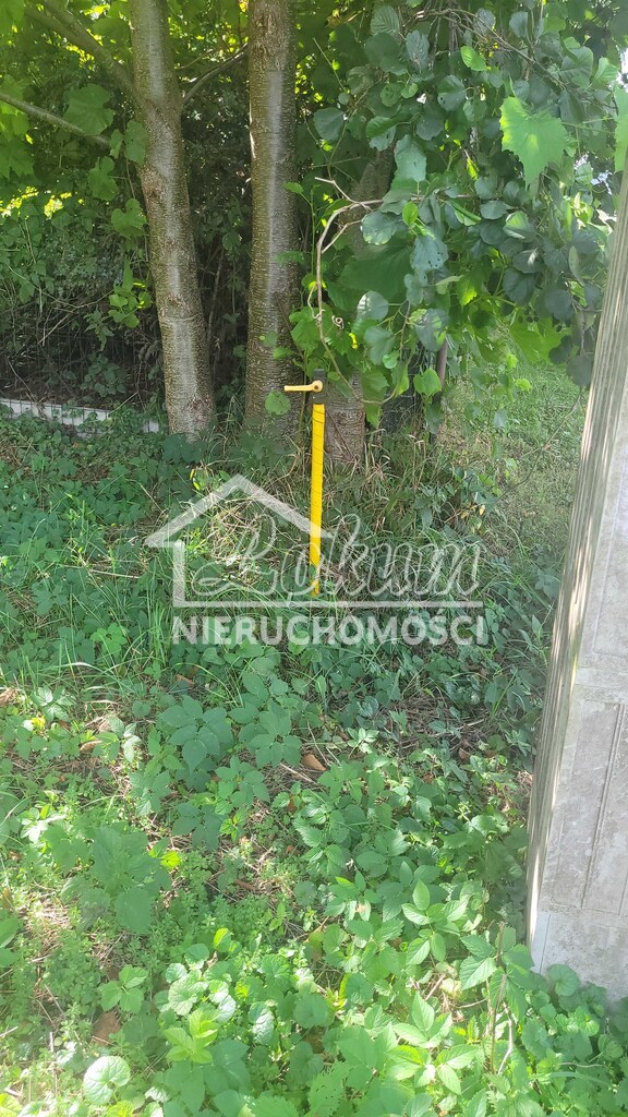 Działka budowlana 1371 m², Szczecin - zdjęcie 4
