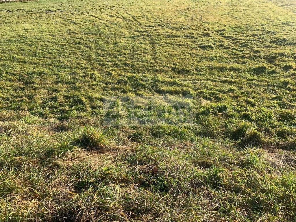 Działka budowlana 1604&nbsp;m², Duchnów - zdjęcie 2