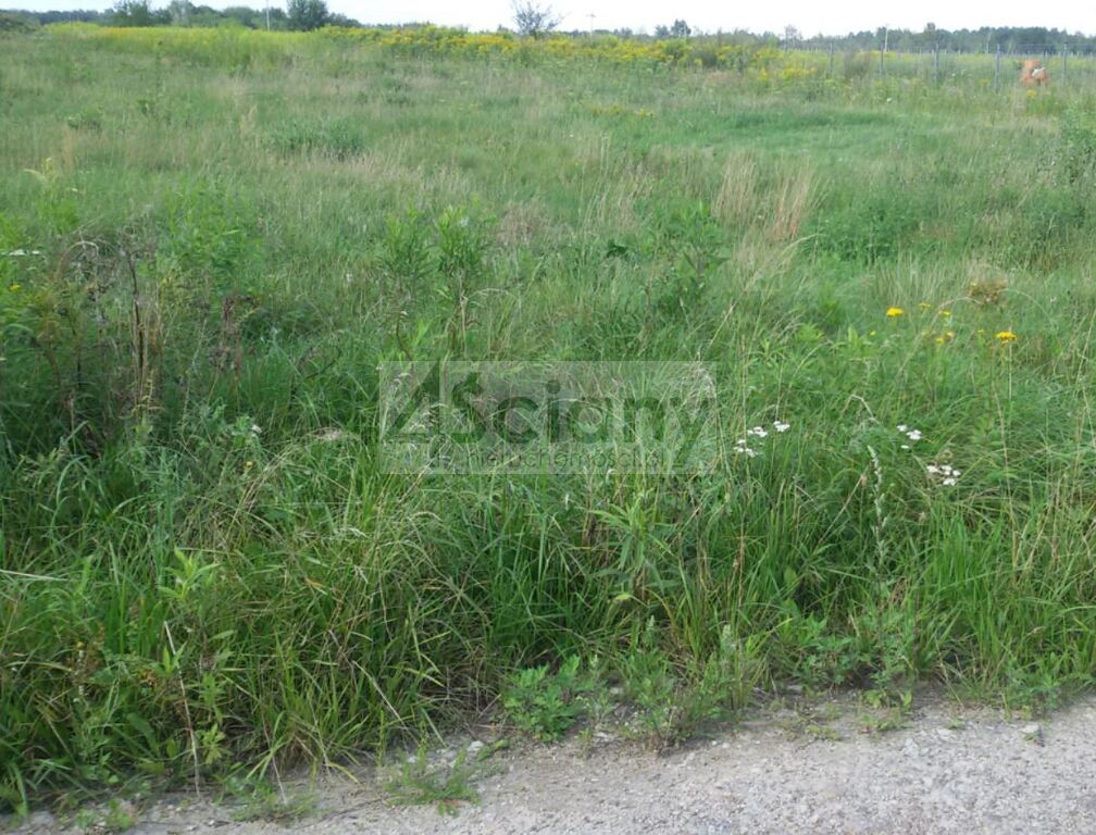 Działka budowlana 5183 m², Duchnów - zdjęcie 1