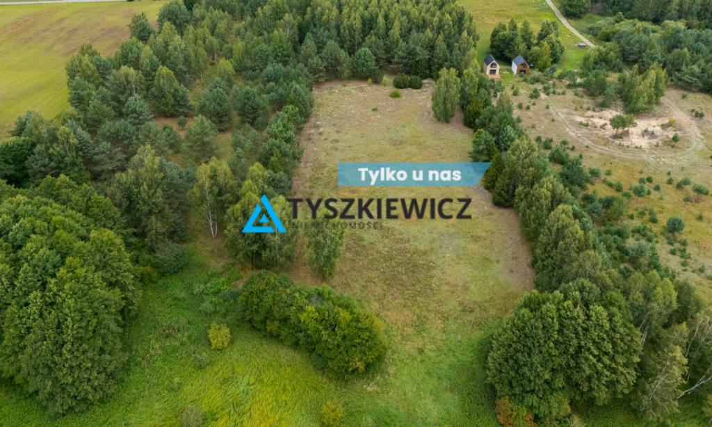 Piękna, duża działka w Starej Kiszewie - zdjęcie 1
