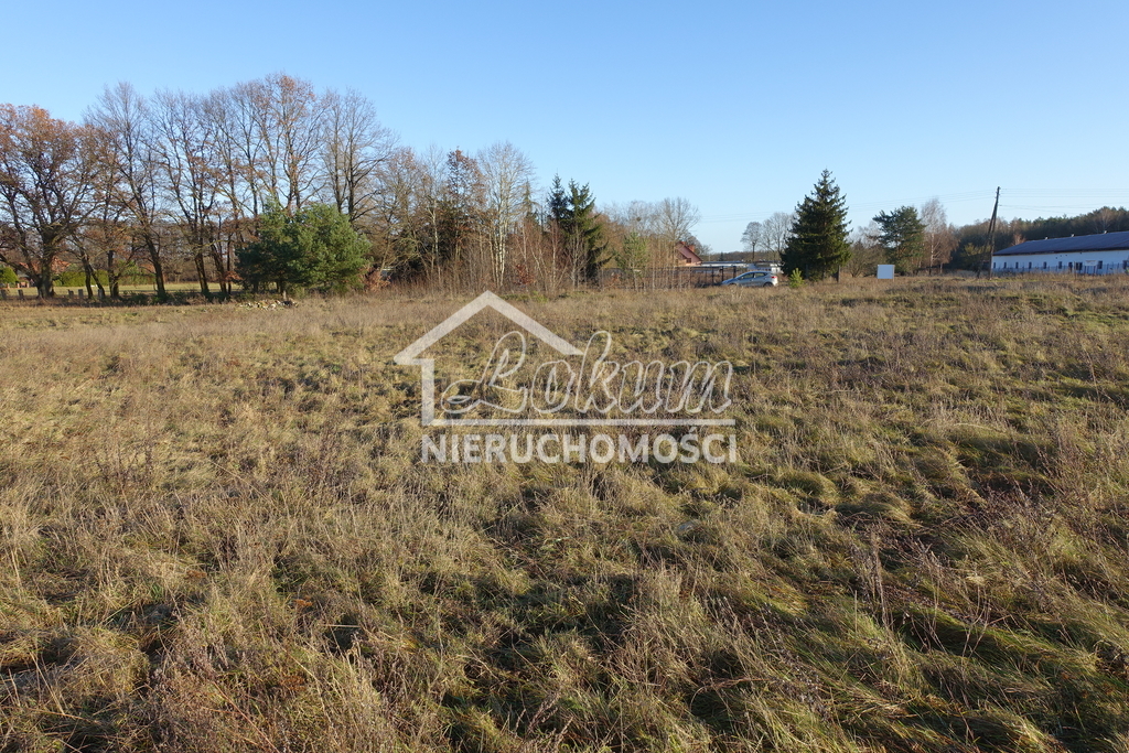 Działka inwestycyjna 3500 m², Tanowo - zdjęcie 5