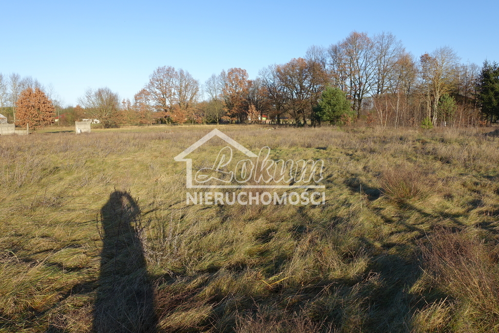 Działka inwestycyjna 3500 m², Tanowo - zdjęcie 3