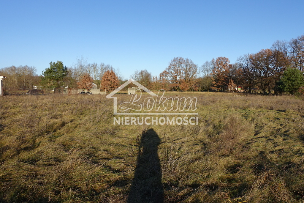 Działka inwestycyjna 3500 m², Tanowo - zdjęcie 4