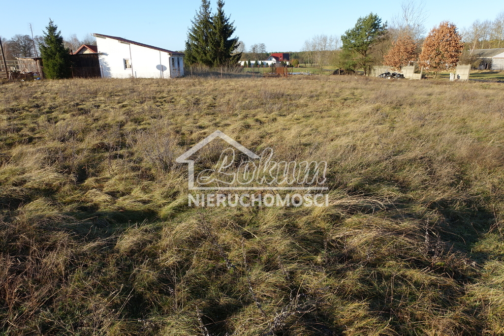 Działka inwestycyjna 3500 m², Tanowo - zdjęcie 2