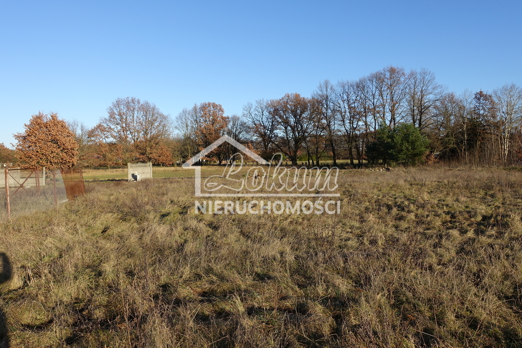 Działka inwestycyjna 3500 m², Tanowo - zdjęcie 6