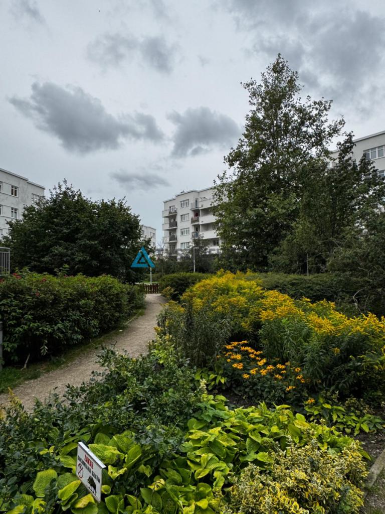 JAK NOWE 3 pokoje na Komandorskim Wzgórzu! Gdynia - zdjęcie 23