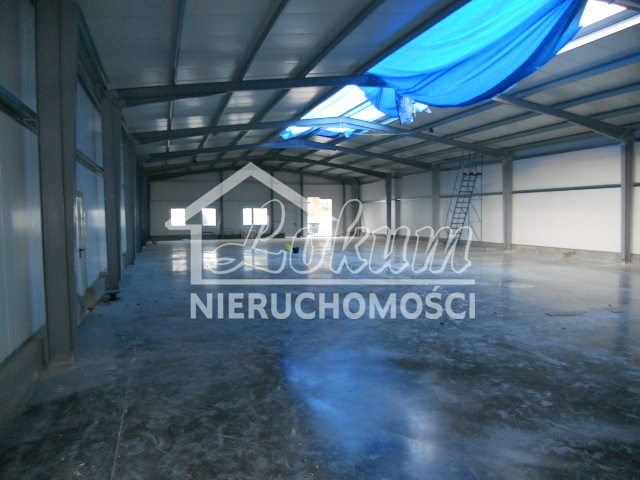 Magazyn do wynajęcia, 578&nbsp;m², Przecław - zdjęcie 7
