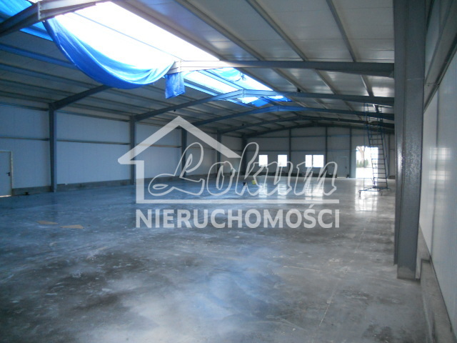 Magazyn do wynajęcia, 578&nbsp;m², Przecław - zdjęcie 5