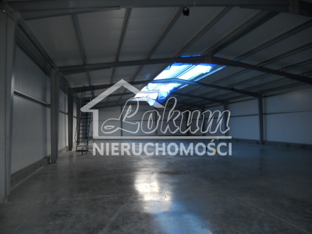 Magazyn do wynajęcia, 578&nbsp;m², Przecław - zdjęcie 6