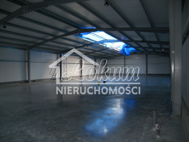 Magazyn do wynajęcia, 578&nbsp;m², Przecław - zdjęcie 4