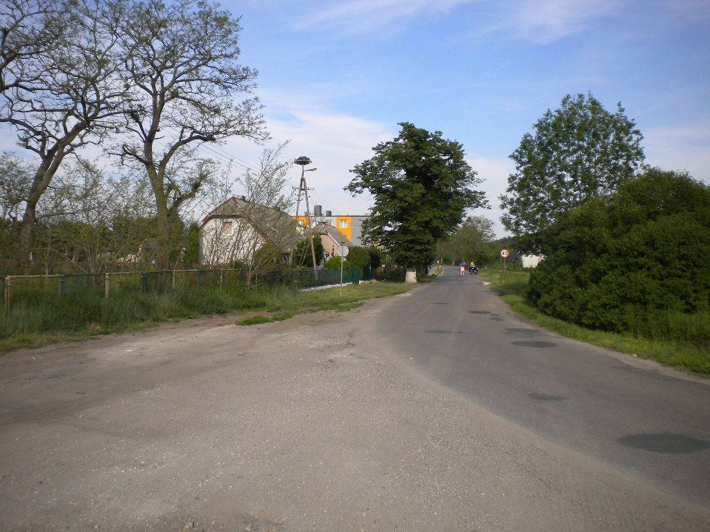 Działka rolna 3900 m², Kotuń - zdjęcie 3