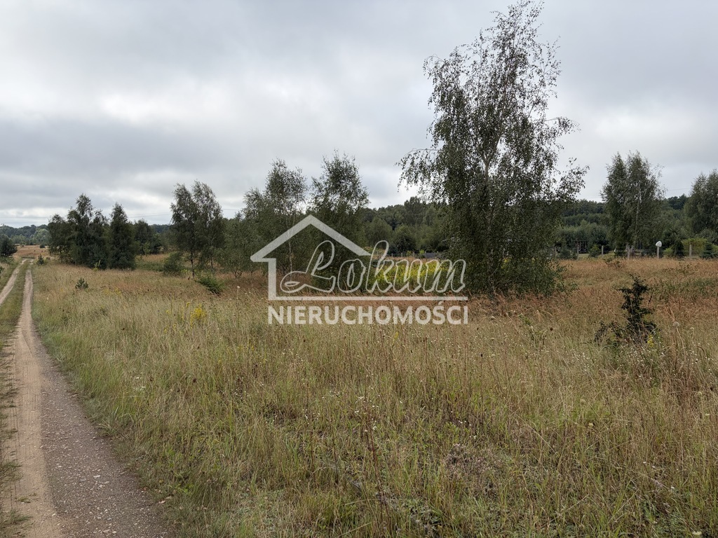 Działka rekreacyjna 3000&nbsp;m², Ińsko - zdjęcie 2