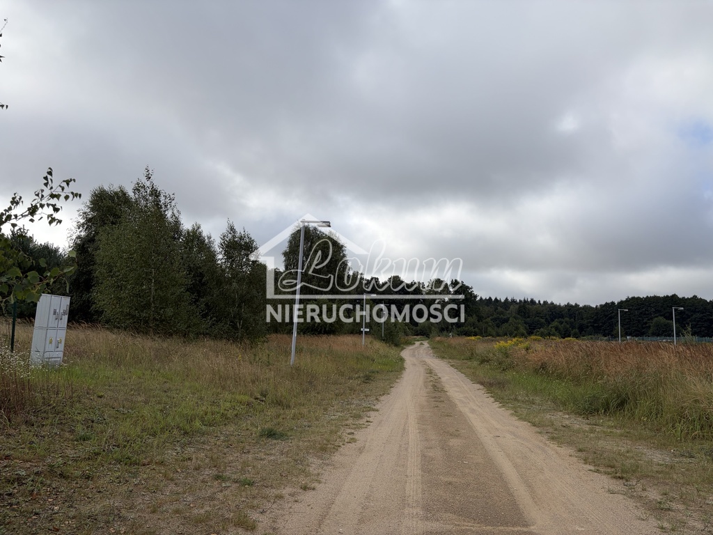 Działka rekreacyjna 3000&nbsp;m², Ińsko - zdjęcie 5