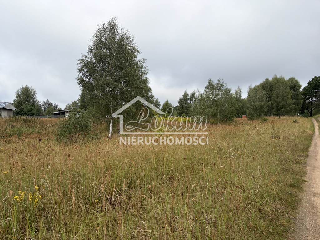 Działka rekreacyjna 3000&nbsp;m², Ińsko - zdjęcie 1