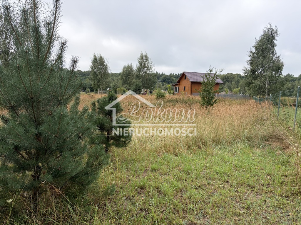 Działka rekreacyjna 3000&nbsp;m², Ińsko - zdjęcie 3