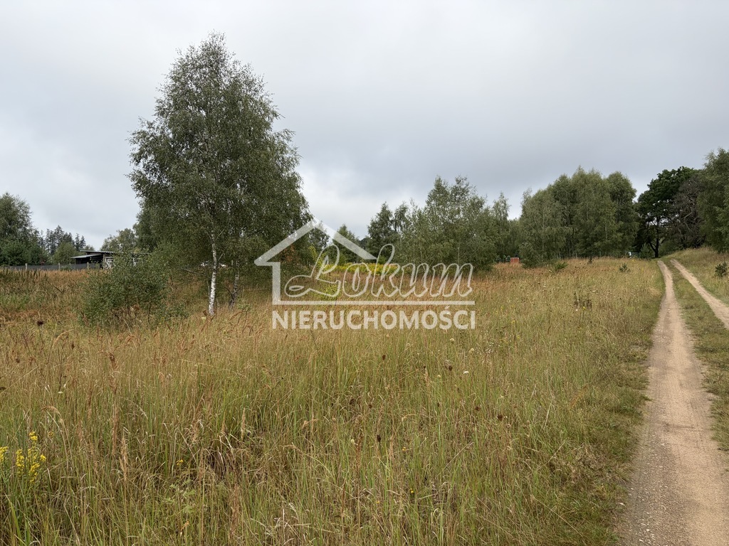 Działka rekreacyjna 3000&nbsp;m², Ińsko - zdjęcie 4