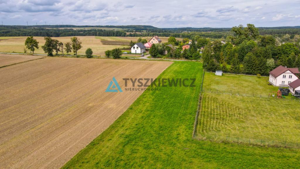 Działka siedliskowa 3001m2 Ełganowo przy asfalcie - zdjęcie 7