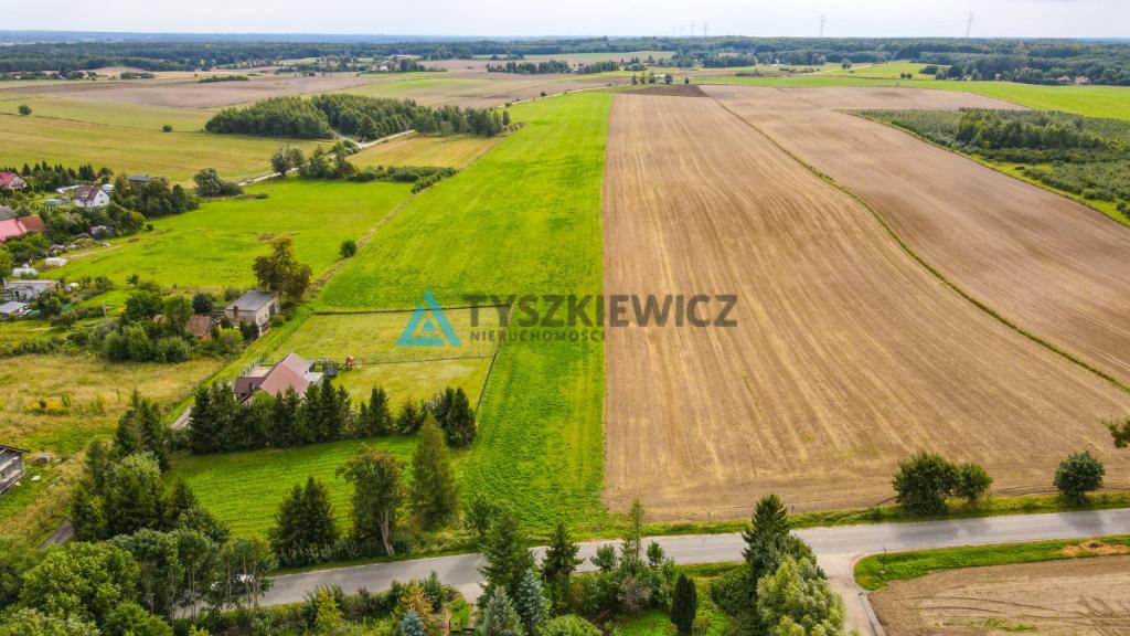 Działka siedliskowa 3001m2 Ełganowo przy asfalcie - zdjęcie 13