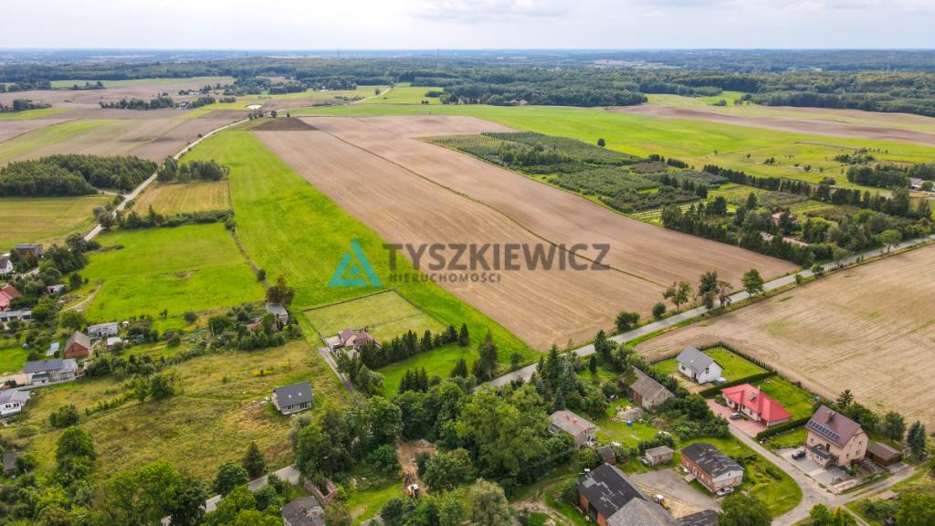 Działka siedliskowa 3001m2 Ełganowo przy asfalcie - zdjęcie 16