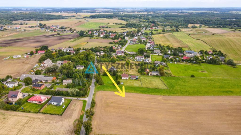 Działka siedliskowa 3001m2 Ełganowo przy asfalcie - zdjęcie 5