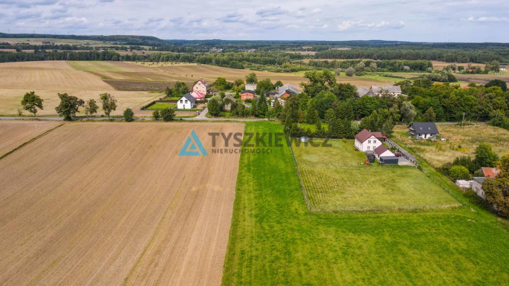 Działka siedliskowa 3001m2 Ełganowo przy asfalcie - zdjęcie 11