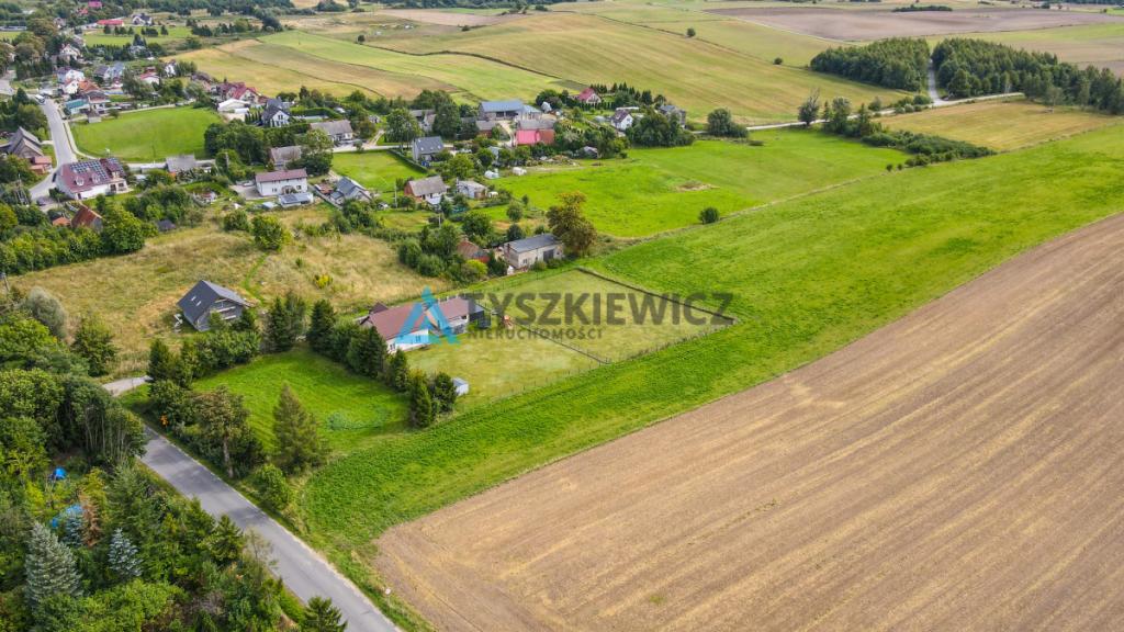 Działka siedliskowa 3001m2 Ełganowo przy asfalcie - zdjęcie 12