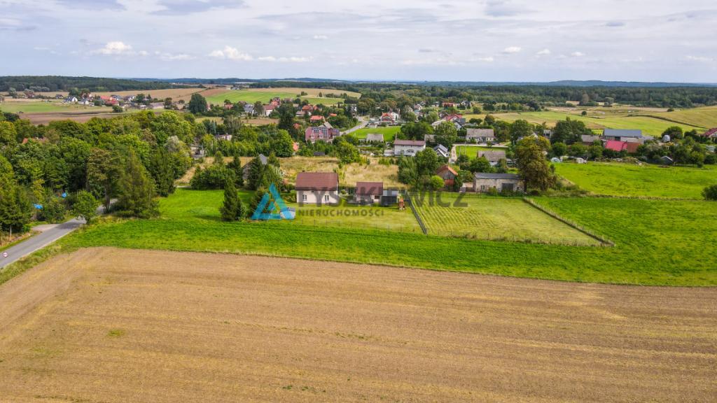Działka siedliskowa 3001m2 Ełganowo przy asfalcie - zdjęcie 19