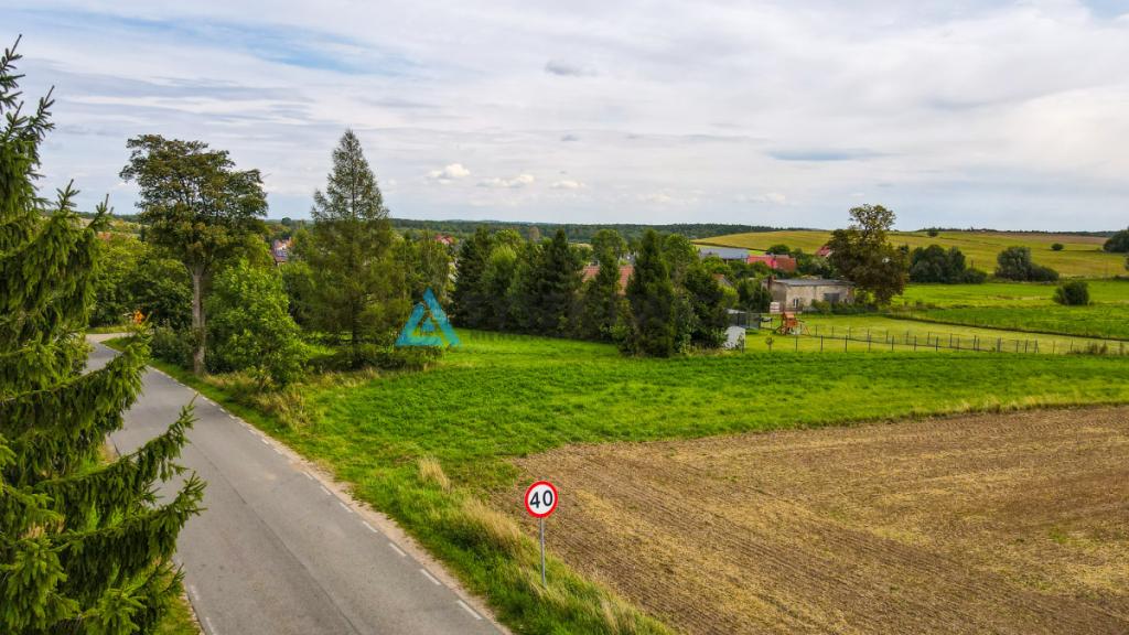 Działka siedliskowa 3001m2 Ełganowo przy asfalcie - zdjęcie 10