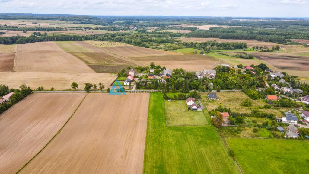 Działka siedliskowa 3001m2 Ełganowo przy asfalcie - zdjęcie 6