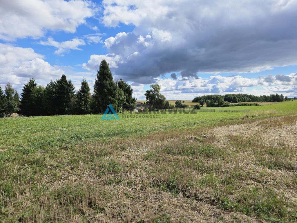 Działka siedliskowa 3001m2 Ełganowo przy asfalcie - zdjęcie 22