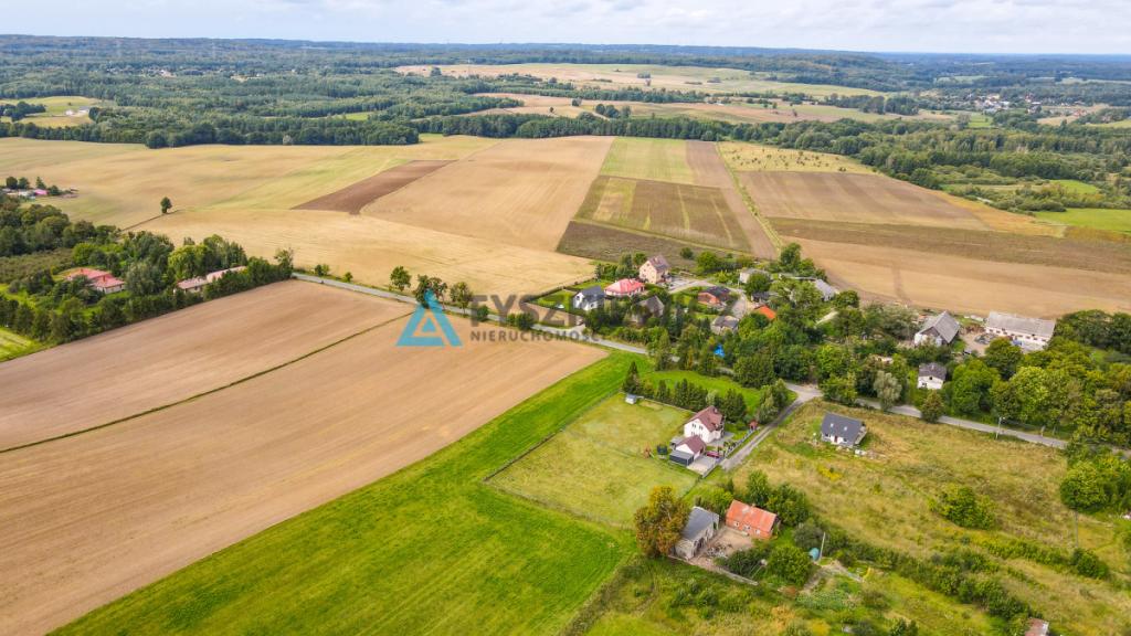 Działka siedliskowa 3001m2 Ełganowo przy asfalcie - zdjęcie 14