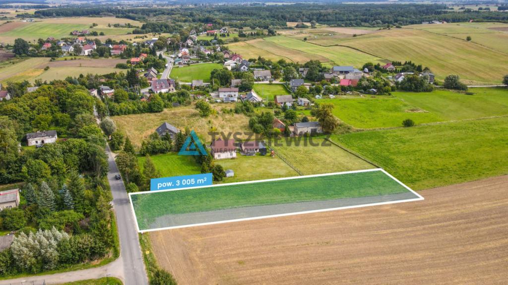 Działka siedliskowa 3001m2 Ełganowo przy asfalcie - zdjęcie 2
