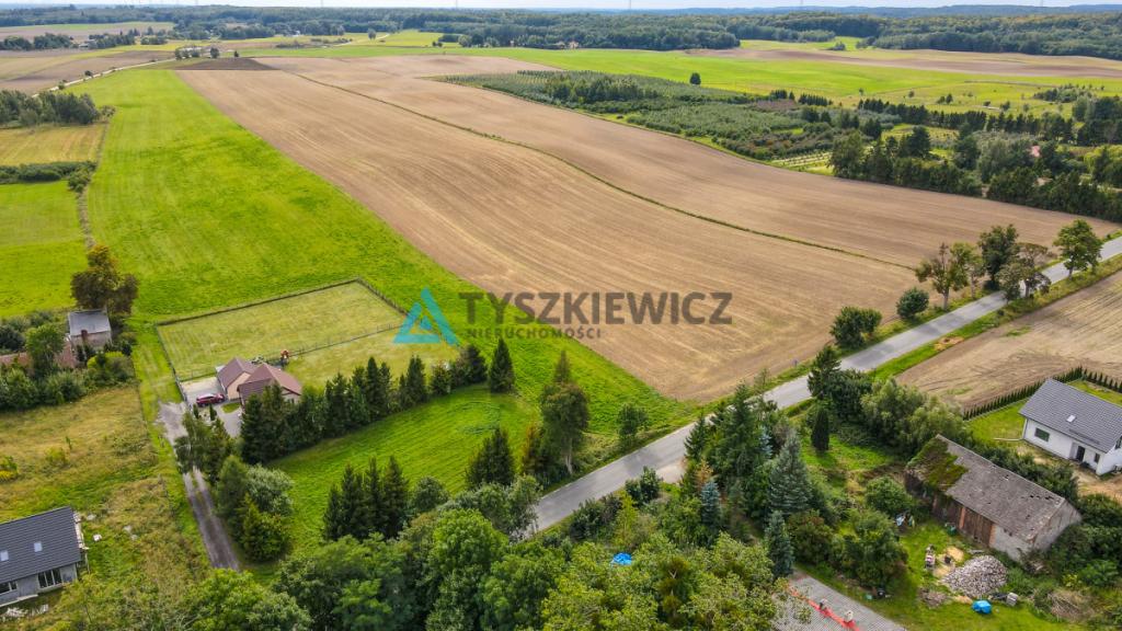 Działka siedliskowa 3001m2 Ełganowo przy asfalcie - zdjęcie 15