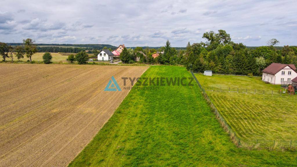 Działka siedliskowa 3001m2 Ełganowo przy asfalcie - zdjęcie 18