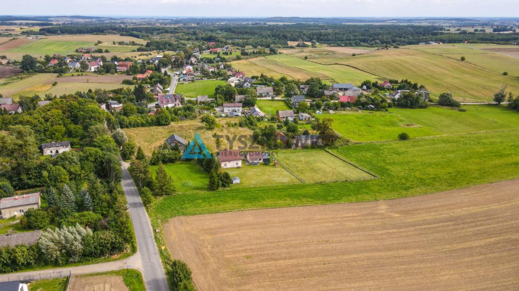 Działka siedliskowa 3001m2 Ełganowo przy asfalcie - zdjęcie 17