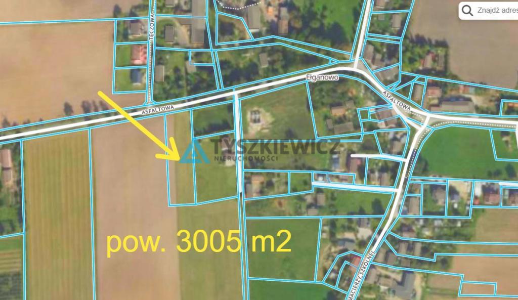 Działka siedliskowa 3001m2 Ełganowo przy asfalcie - zdjęcie 3