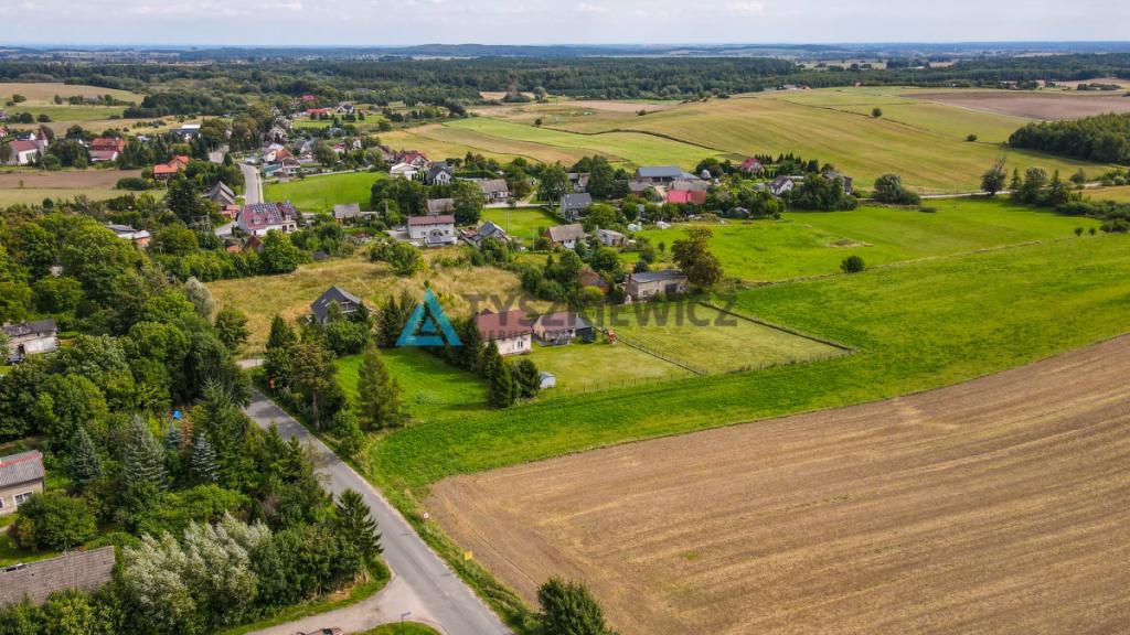 Działka siedliskowa 3001m2 Ełganowo przy asfalcie - zdjęcie 21