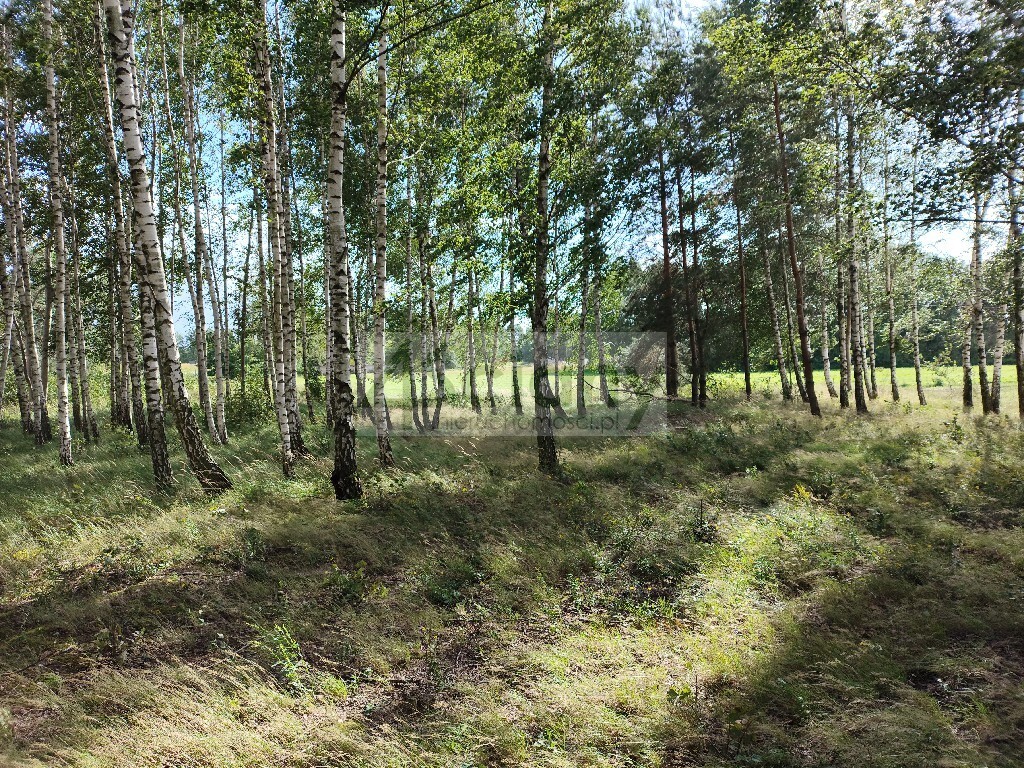 Działka budowlana 1005 m², Gawartowa Wola - zdjęcie 1