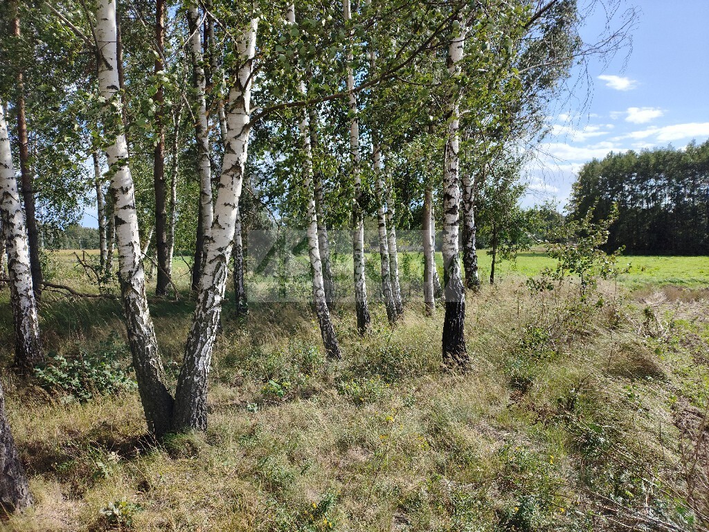 Działka budowlana 1005 m², Gawartowa Wola - zdjęcie 3