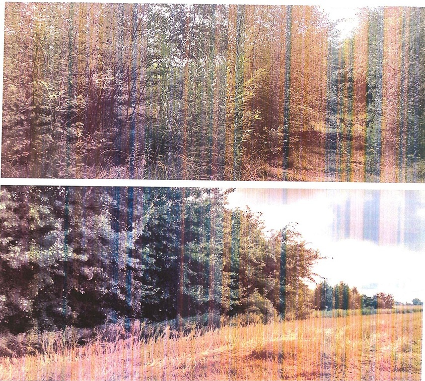 Działka inwestycyjna 2,12&nbsp;ha, Poniatowice - zdjęcie 2