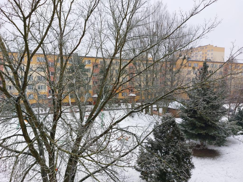 Mieszkanie 40&nbsp;m², Wrocław, Psie Pole, Kiełczowska - zdjęcie 4