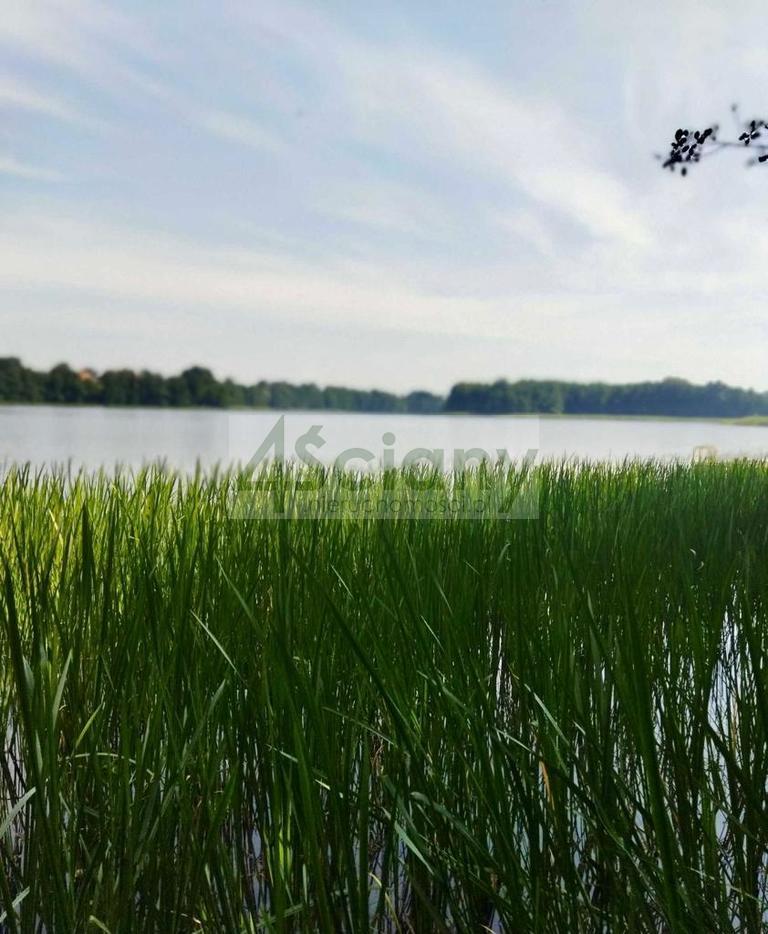 Wynajmę działkę 4967&nbsp;m², Dobki - zdjęcie 8