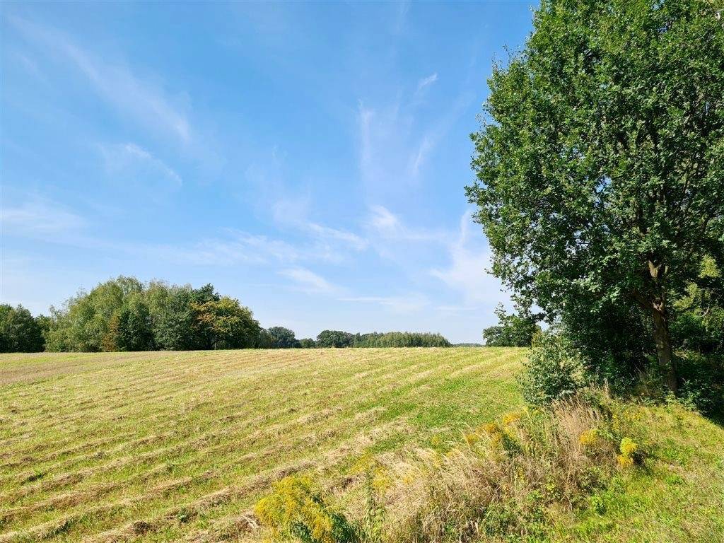 Działka budowlana 2604 m², Pielgrzymowice, Jastrzębska - zdjęcie 8