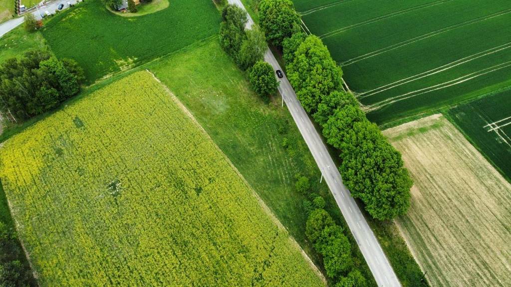 Działka budowlana 2604 m², Pielgrzymowice, Jastrzębska - zdjęcie 3