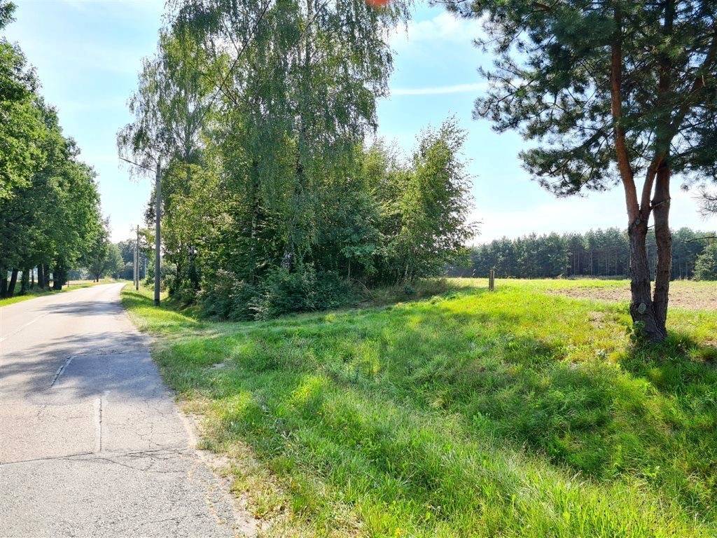 Działka budowlana 2604 m², Pielgrzymowice, Jastrzębska - zdjęcie 7