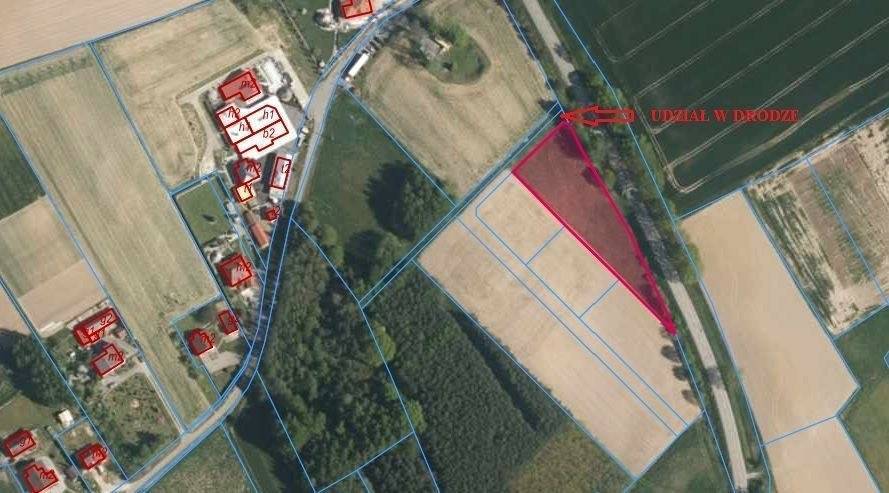 Działka budowlana 2604 m², Pielgrzymowice, Jastrzębska - zdjęcie 9