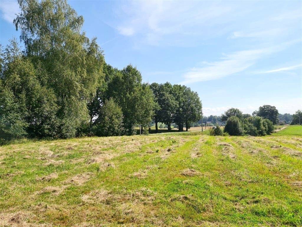 Działka budowlana 2604 m², Pielgrzymowice, Jastrzębska - zdjęcie 10